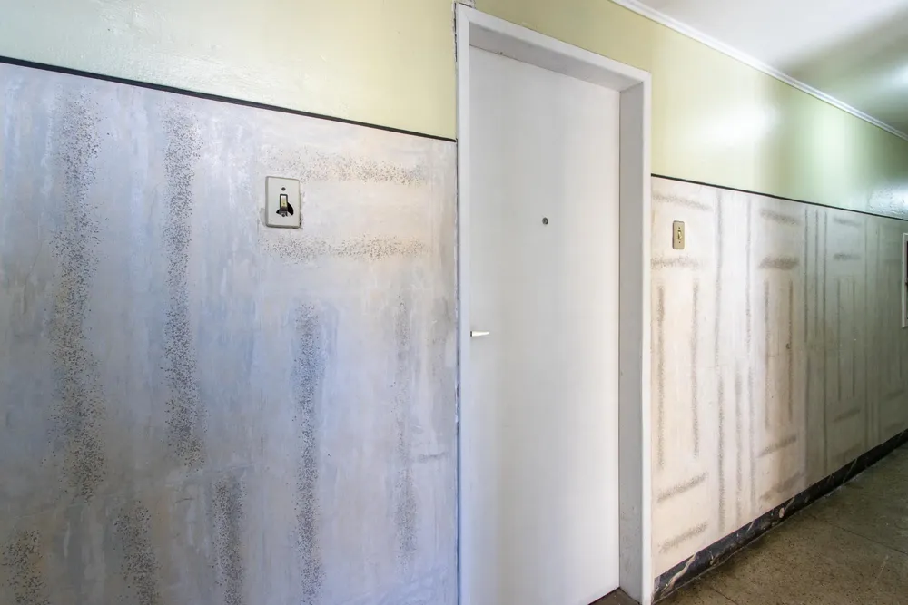 Apartamento, 1 quarto, 32 m² - Foto 2