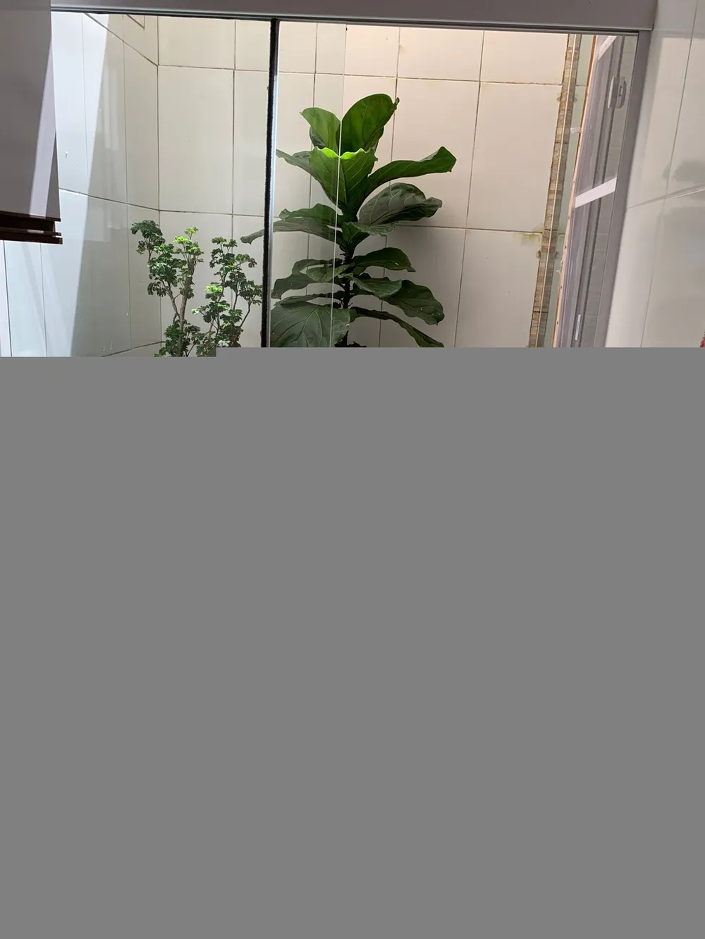 Casa, 3 quartos, 101 m² - Foto 3