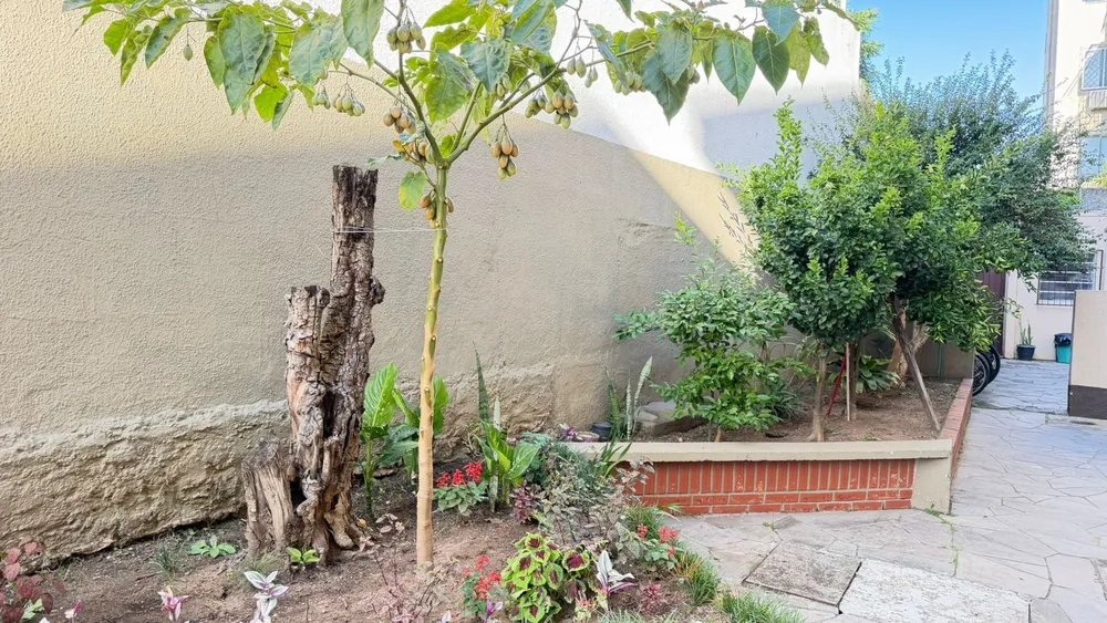 Apartamento, 2 quartos, 62 m² - Foto 2