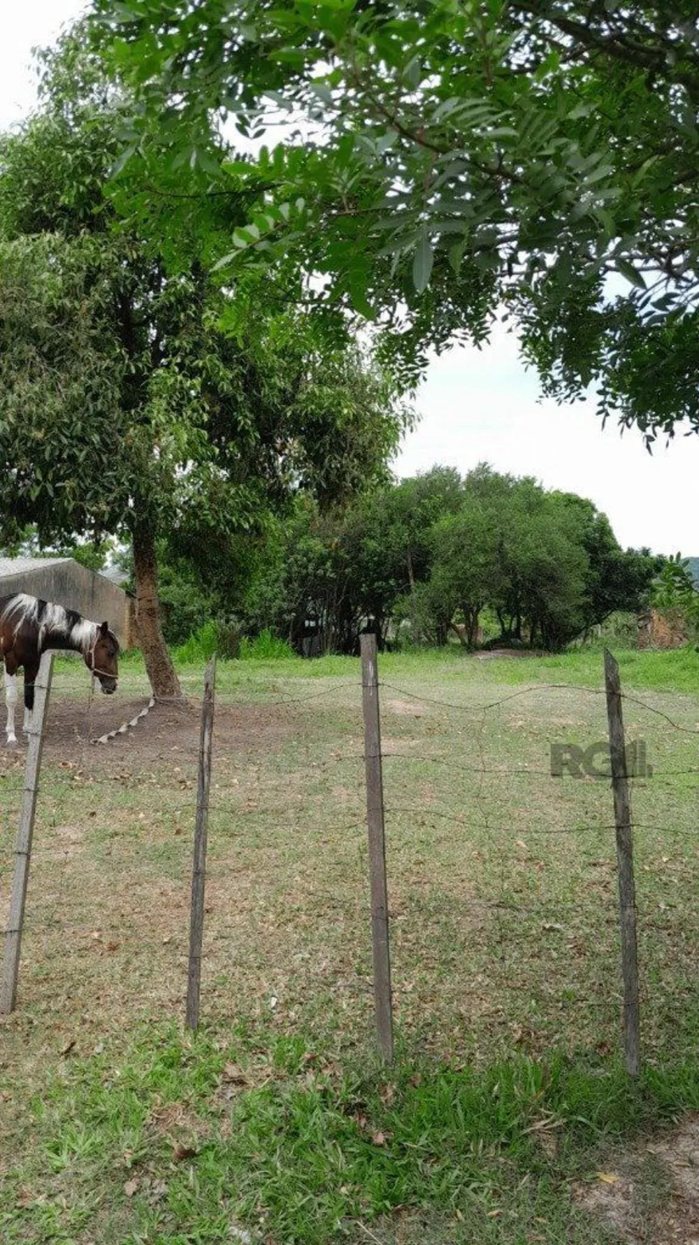 Casa, 6 quartos, 314 m² - Foto 2
