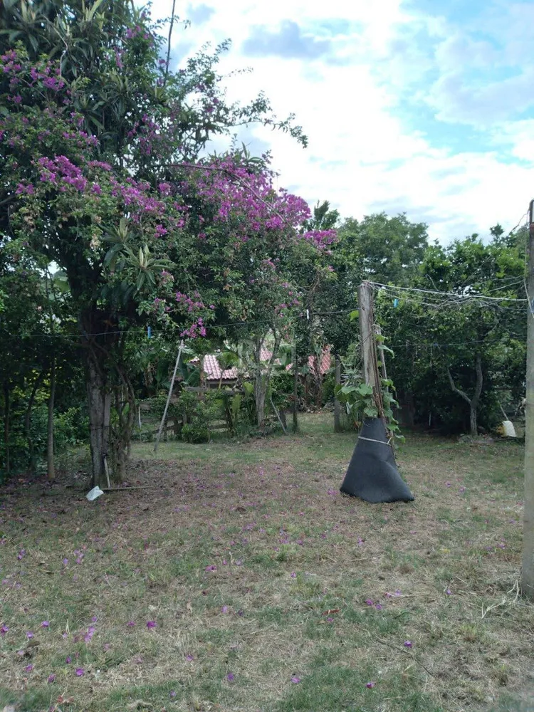 Loja-Salão, 215 m² - Foto 5