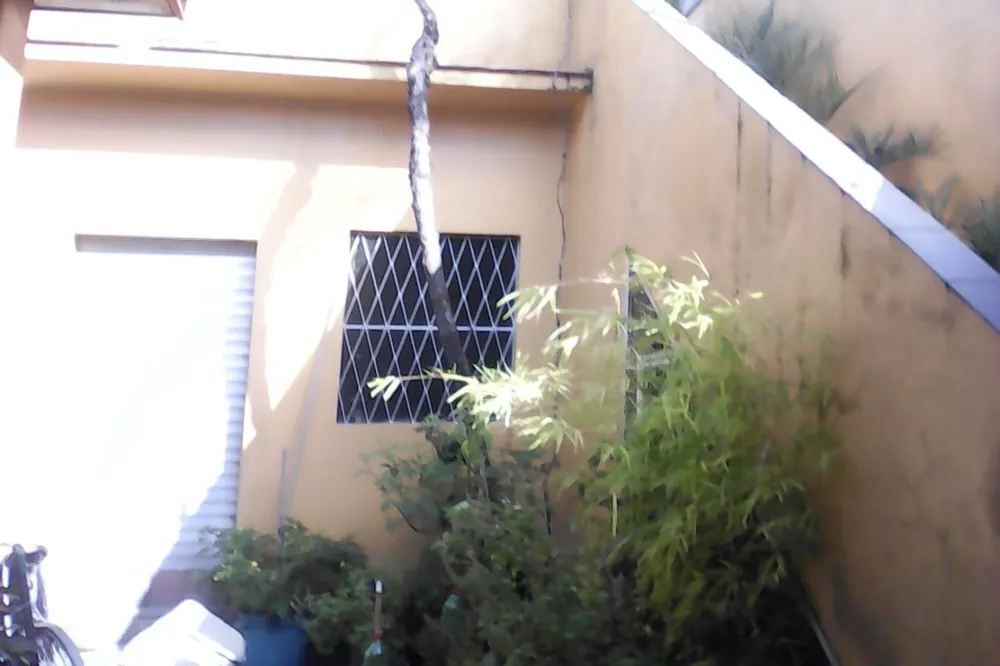 Casa, 3 quartos, 428 m² - Foto 4
