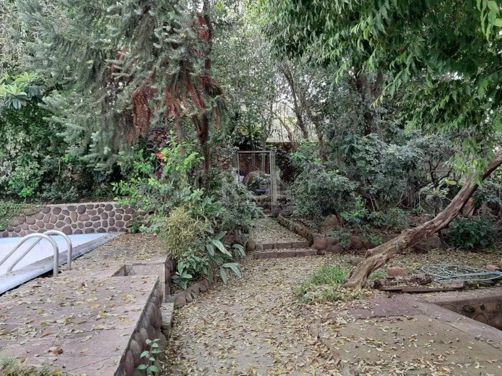 Prédio Inteiro, 903 m² - Foto 1