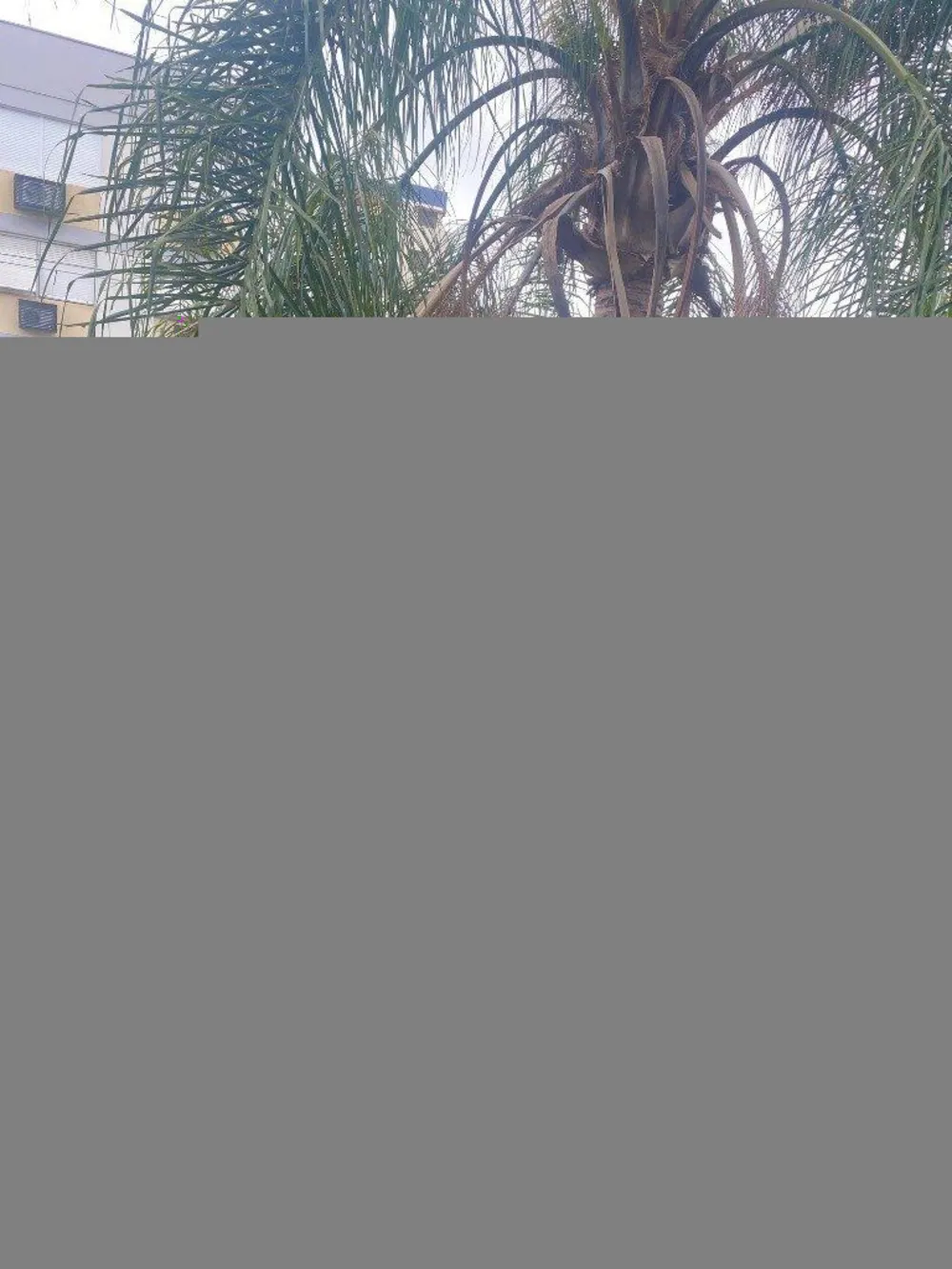 Apartamento, 2 quartos, 92 m² - Foto 1