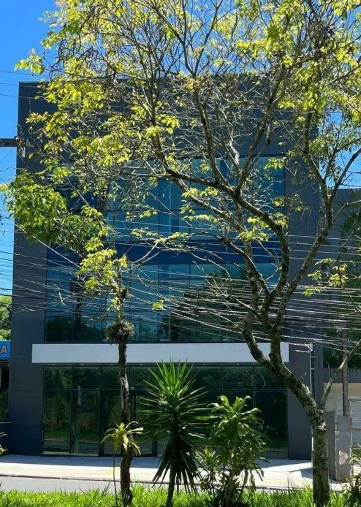Sala-Conjunto, 33 m² - Foto 3
