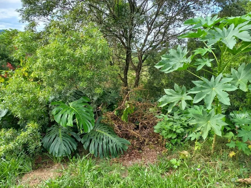 Terreno à venda, 1m² - Foto 4