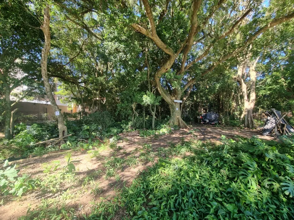 Terreno, 4501 m² - Foto 1