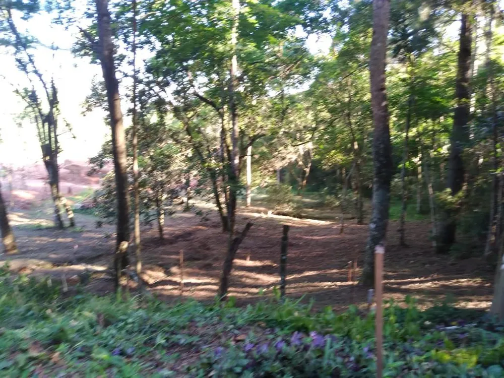 Terreno, 3799 m² - Foto 4