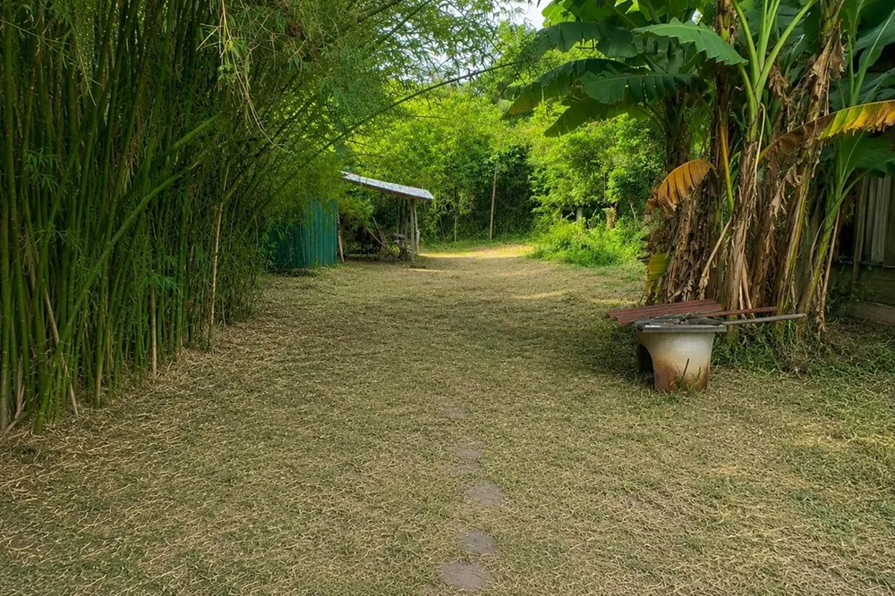 Terreno, 653 m² - Foto 3
