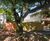 Terreno, 401 m² - Foto 1
