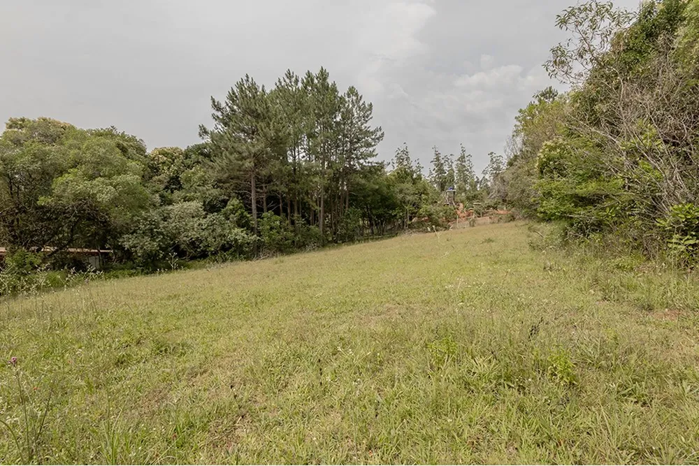 Terreno, 1 hectares - Foto 3