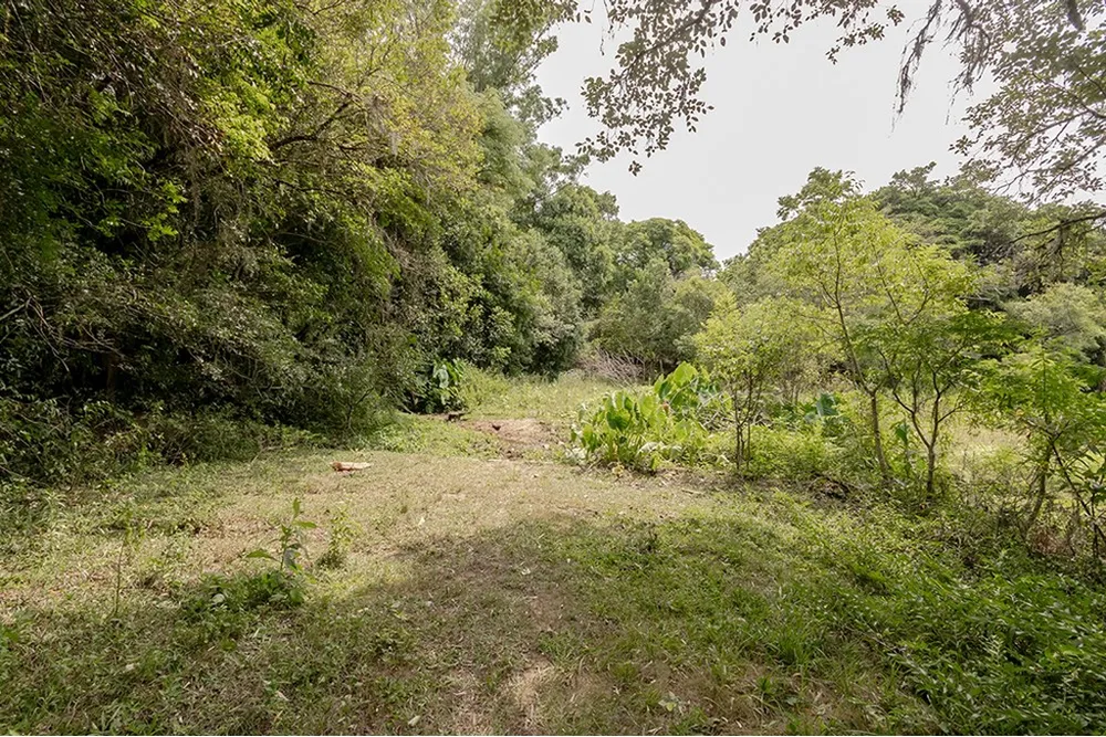 Terreno, 1 hectares - Foto 4