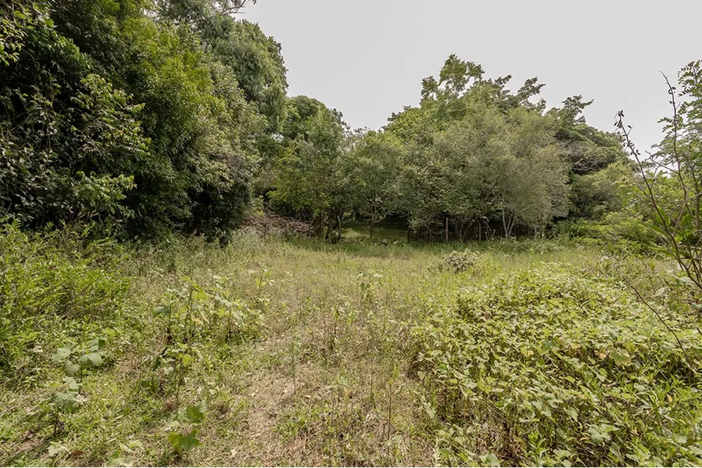 Terreno, 1 hectares - Foto 8