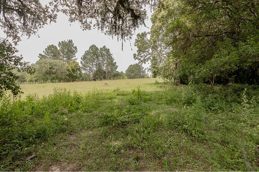 Terreno, 1 hectares - Foto 6