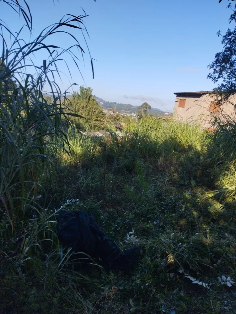 Terreno, 1799 m² - Foto 2