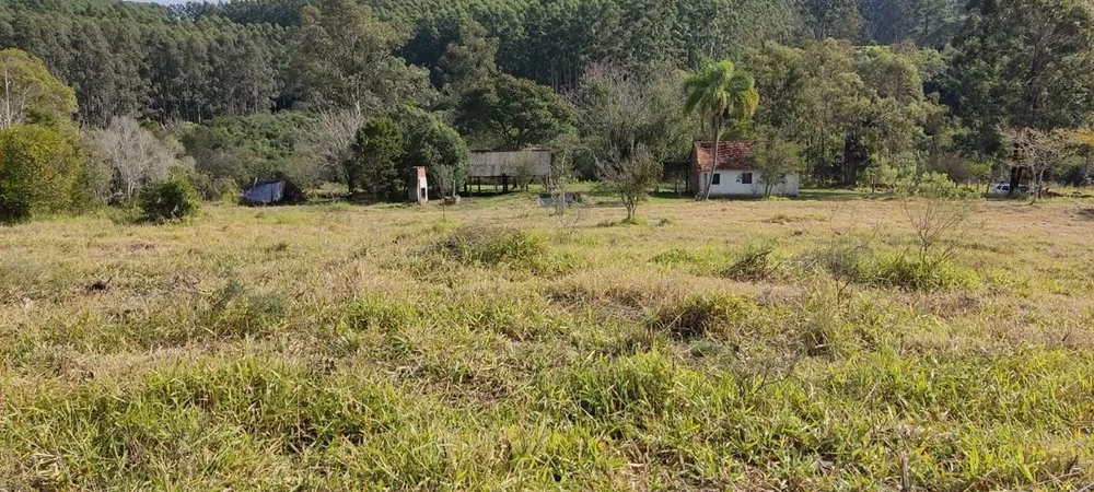 Sítio, 3 quartos, 1 m² - Foto 3