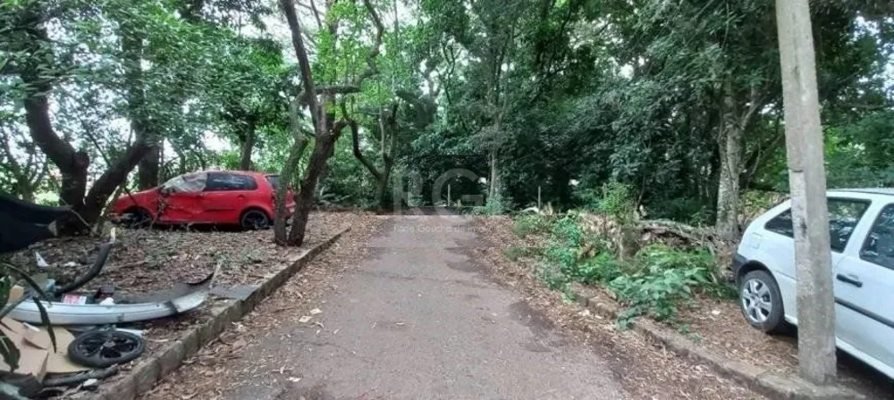 Terreno, 3290 m² - Foto 3