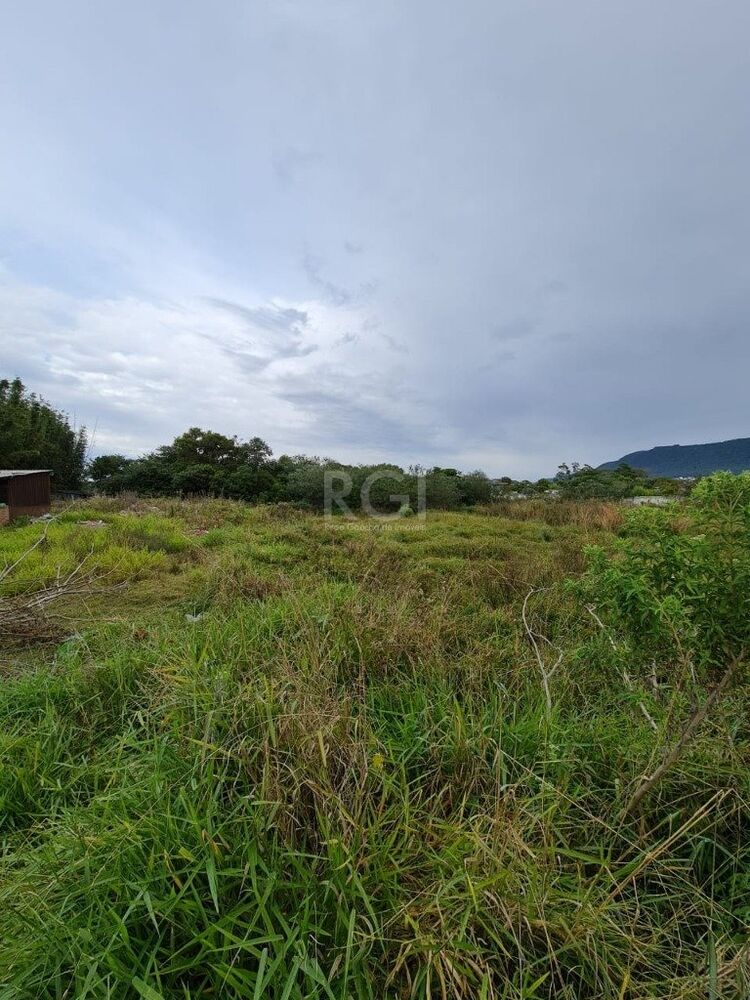 Terreno à venda, 11799m² - Foto 3