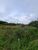 Terreno, 1 hectares - Foto 2