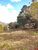 Terreno, 3861 m² - Foto 3