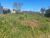Terreno, 301 m² - Foto 2