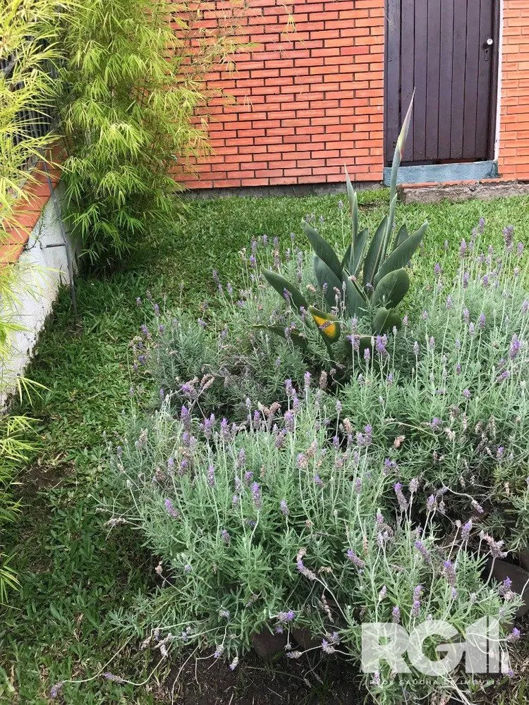 Casa, 4 quartos, 281 m² - Foto 1
