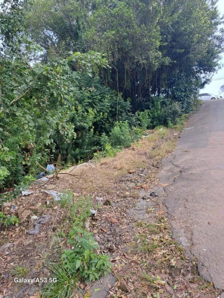 Terreno, 6800 m² - Foto 2