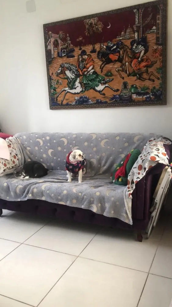 Apartamento, 3 quartos, 160 m² - Foto 2