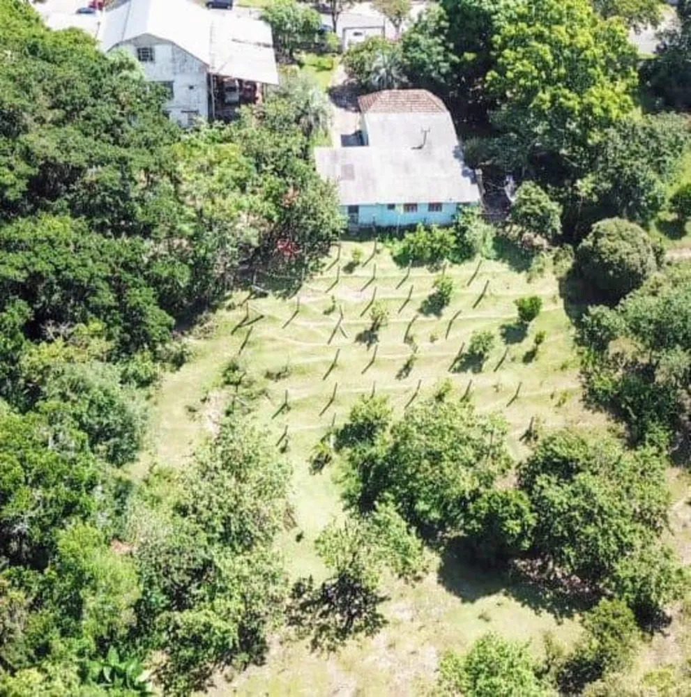 Terreno, 6799 m² - Foto 5