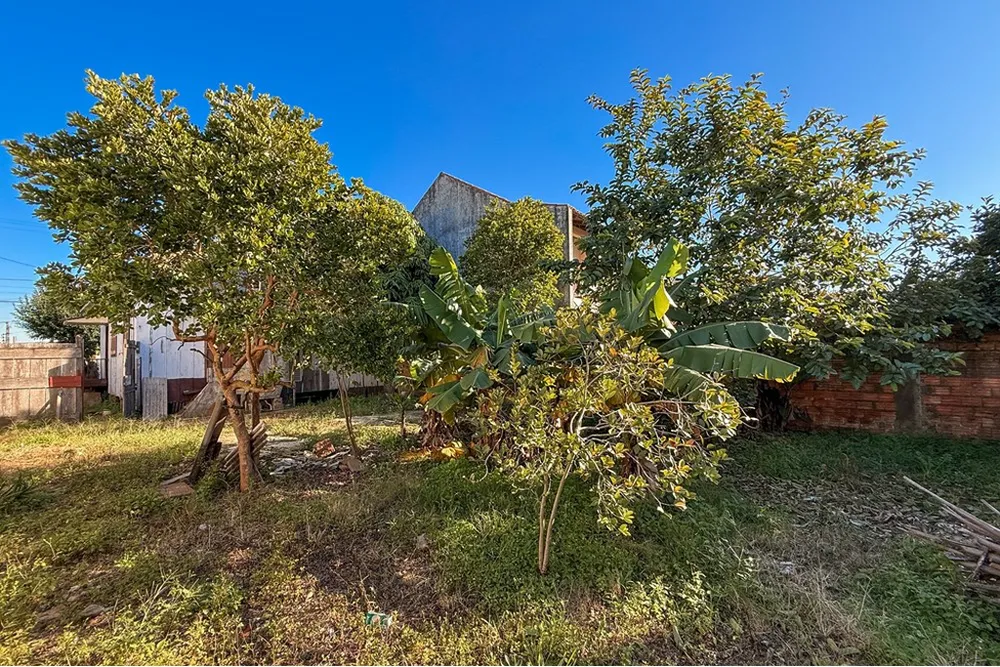 Terreno - Foto 4