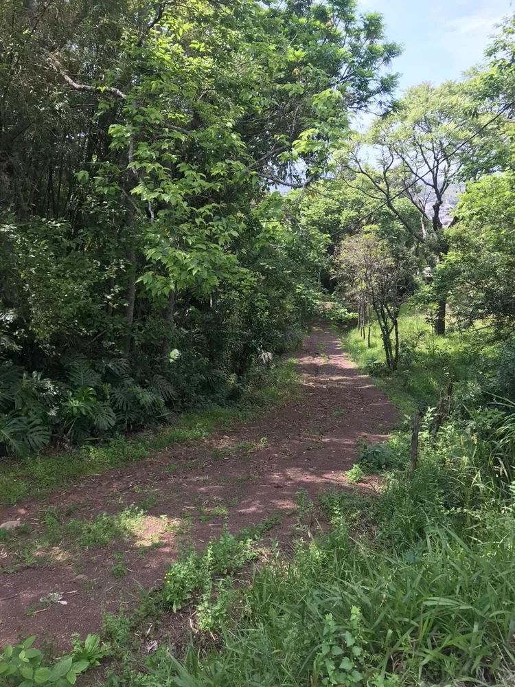 Terreno à venda, 1m² - Foto 6