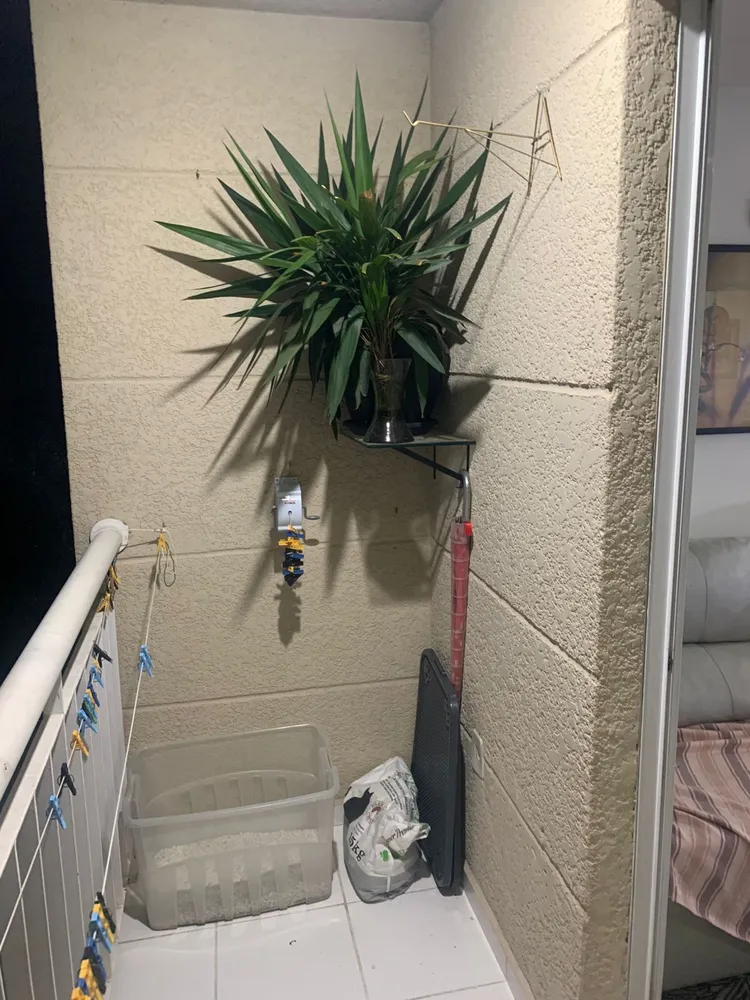 Apartamento, 3 quartos, 63 m² - Foto 2