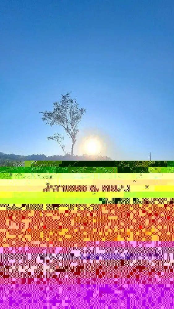 Terreno, 201 m² - Foto 9