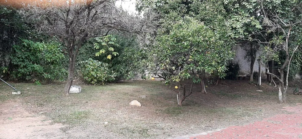 Casa, 6 quartos, 201 m² - Foto 8