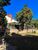Casa, 4 quartos, 289 m² - Foto 4
