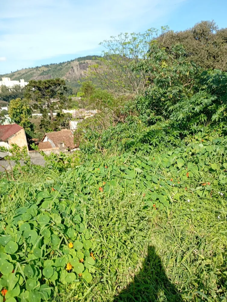 Loja-Salão, 35 m² - Foto 7