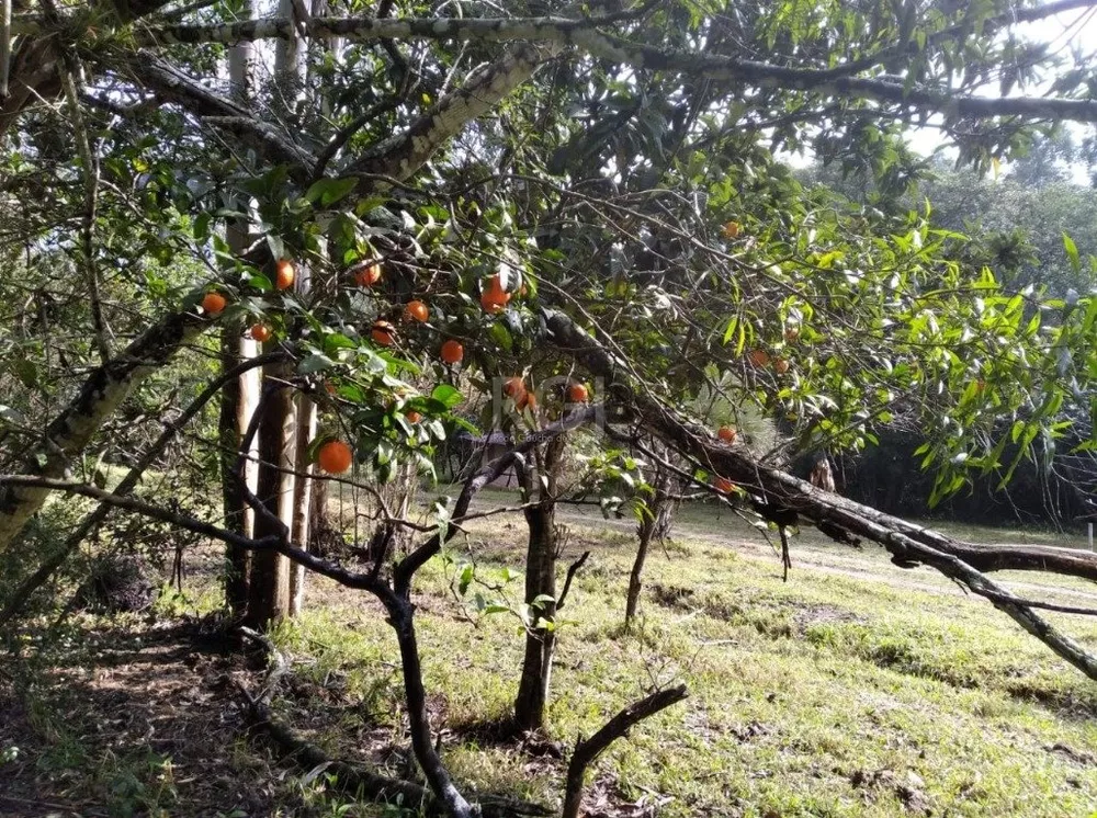 Terreno à venda, 2499m² - Foto 3