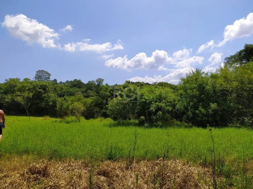 Terreno, 3 hectares - Foto 3