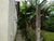 Terreno, 397 m² - Foto 5