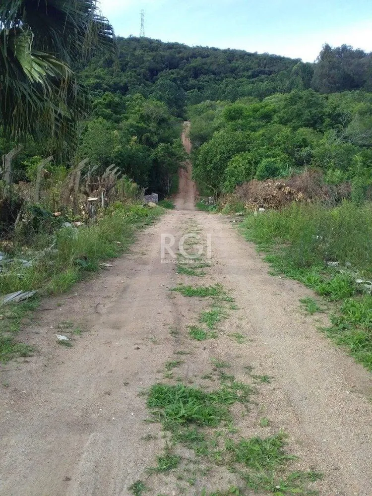 Terreno, 4 hectares - Foto 8