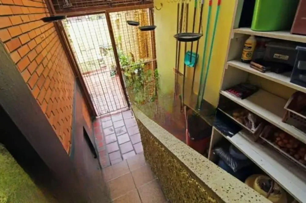 Apartamento, 3 quartos - Foto 1
