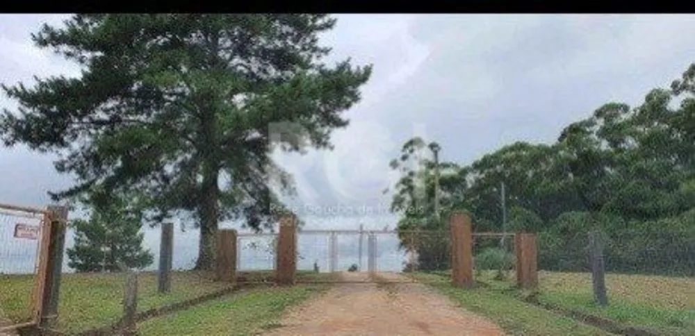 Terreno, 1 hectares - Foto 3