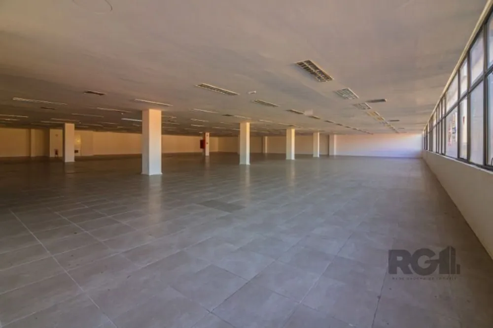 Sala-Conjunto, 1000 m² - Foto 4