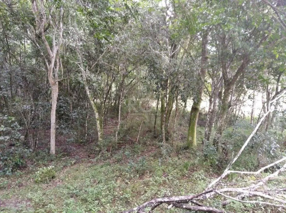 Terreno, 2501 m² - Foto 3