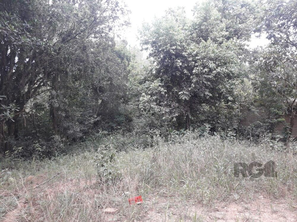 Terreno à venda, 4430m² - Foto 4