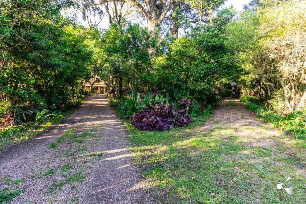 Terreno, 3 hectares - Foto 2