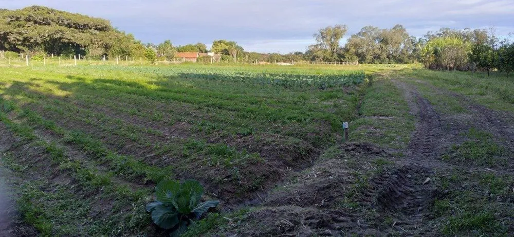 Fazenda, 1 m² - Foto 6