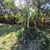 Terreno, 521 m² - Foto 4