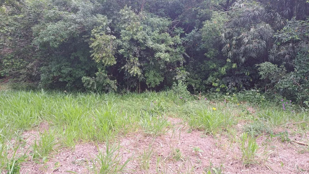 Terreno, 2 m² - Foto 2