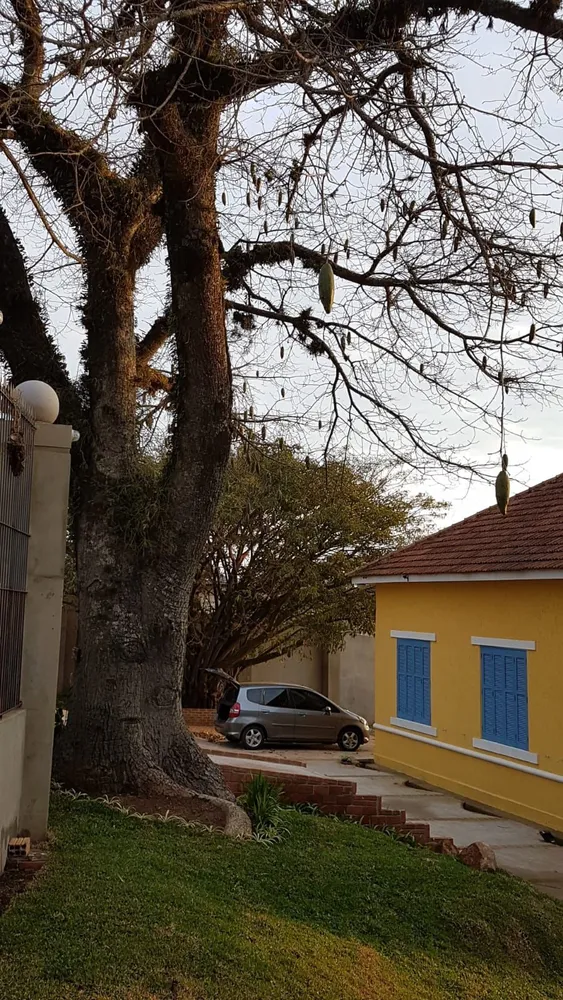 Casa, 3 quartos, 241 m² - Foto 11